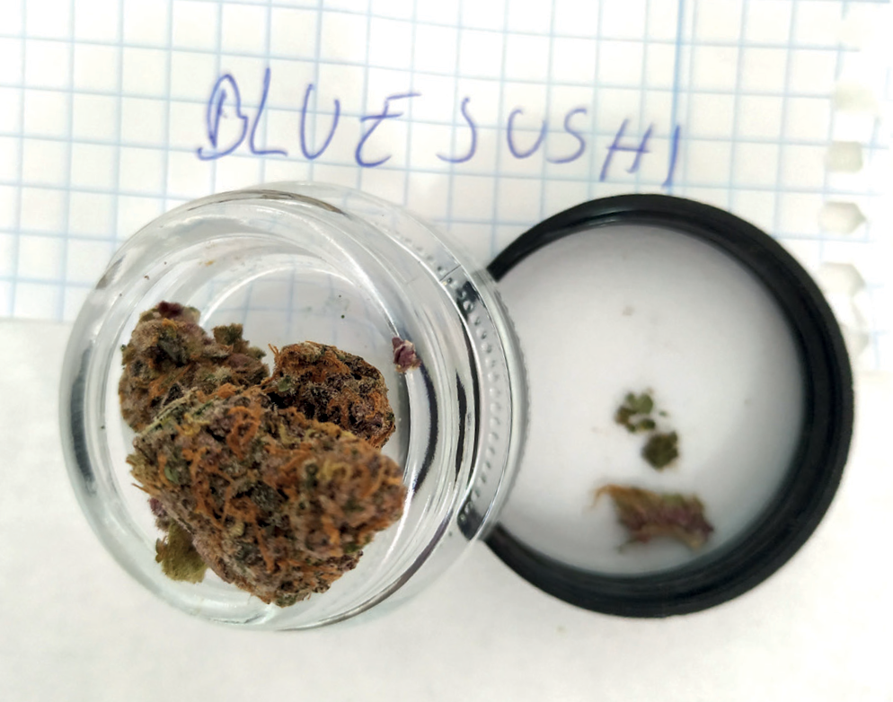 Lab sample